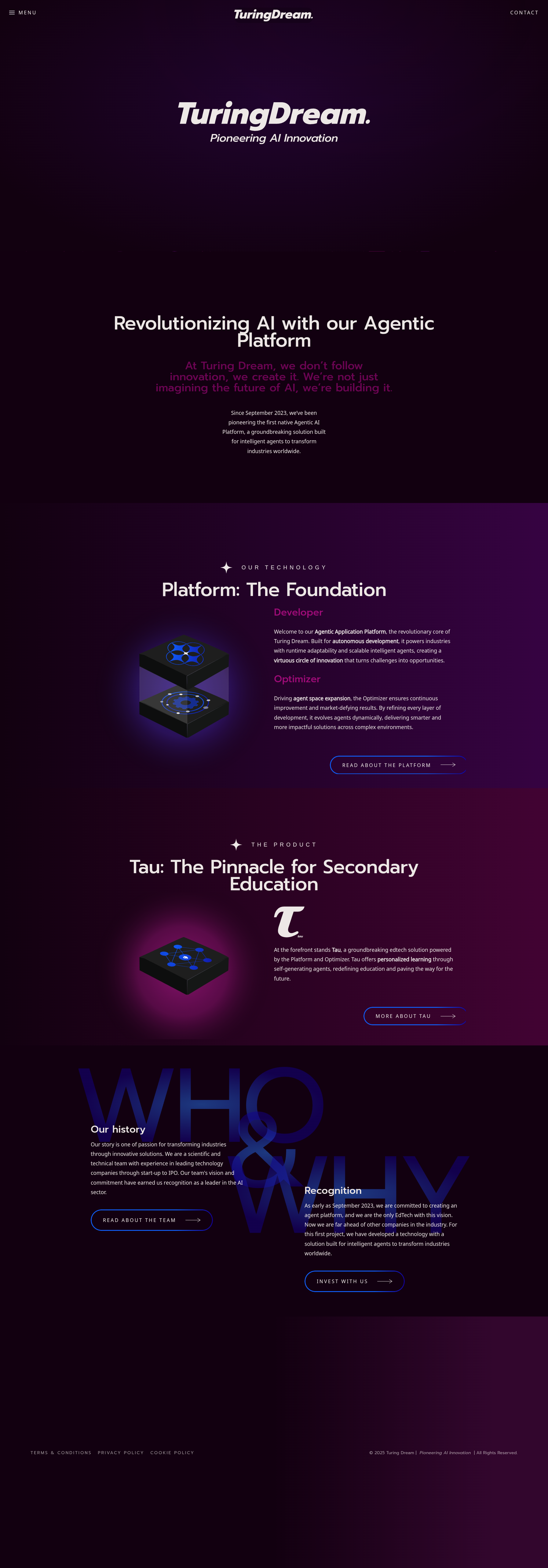 Proyecto TuringDream - Desarrollo web